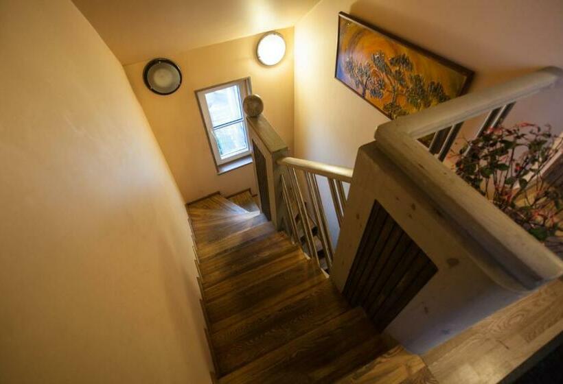 هاستل Sunrise Majutus