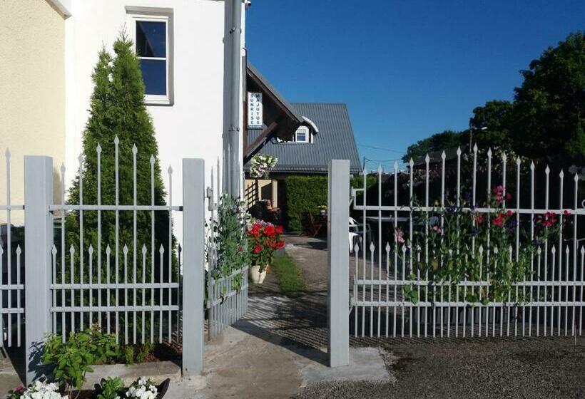 هاستل Sunrise Majutus