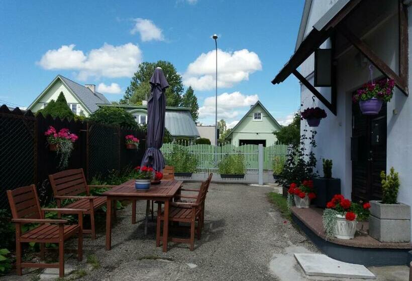 هاستل Sunrise Majutus