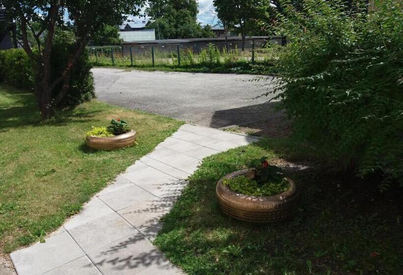 هاستل Sunrise Majutus