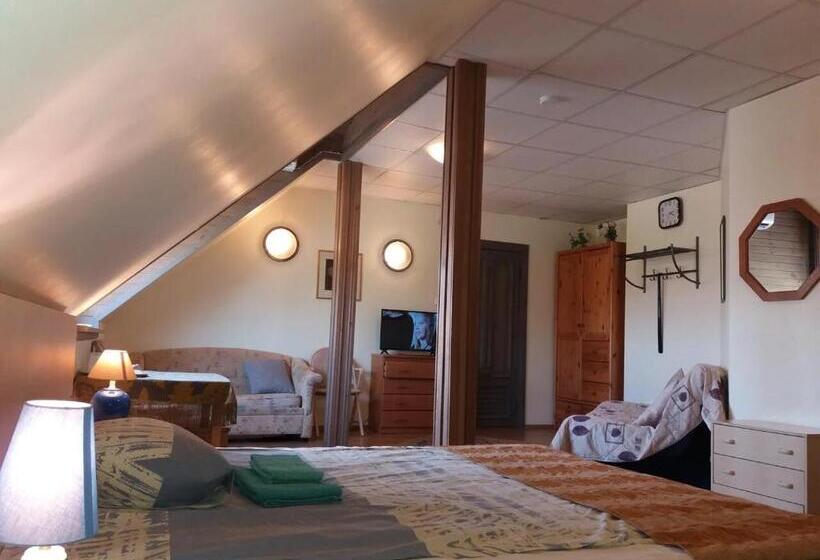 هاستل Sunrise Majutus