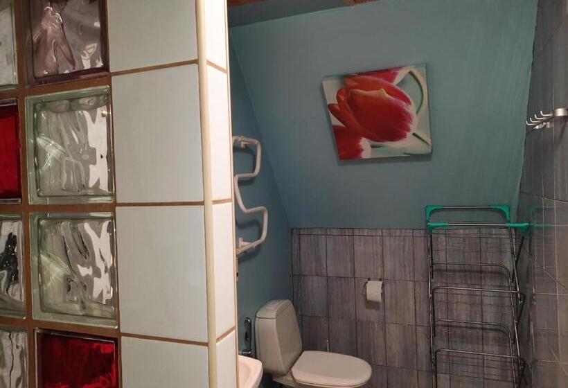 هاستل Sunrise Majutus