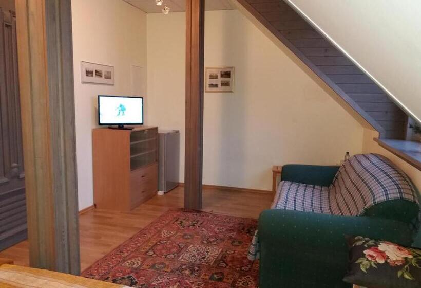 هاستل Sunrise Majutus