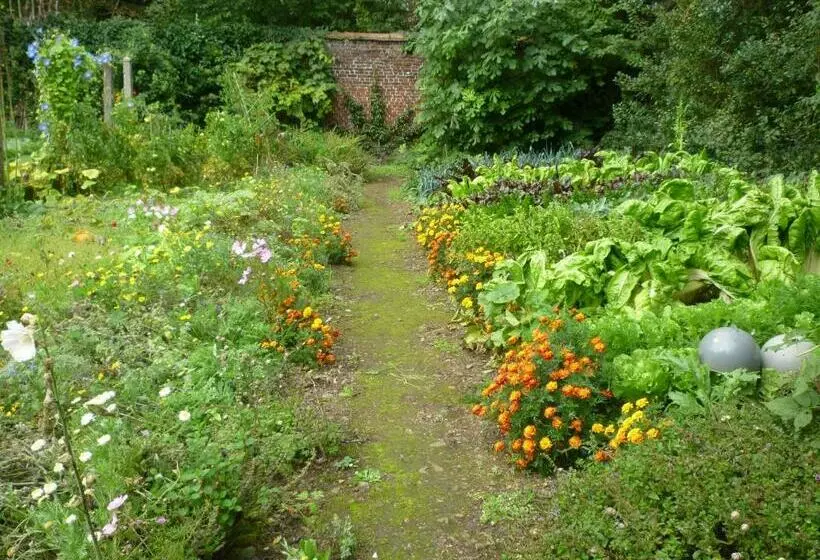 Aamiaismajoitus (B&B) Au Vieux Cèdre
