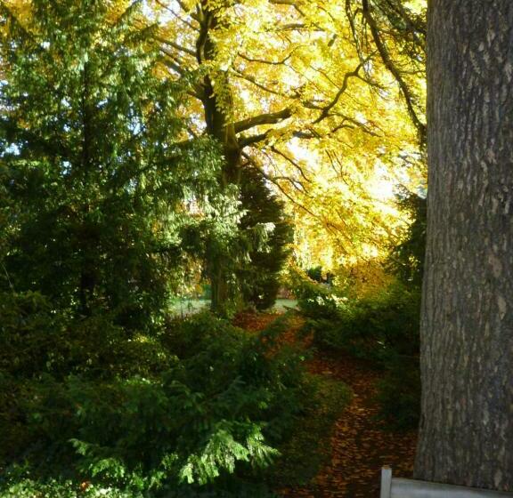 تختخواب و صبحانه Au Vieux Cèdre