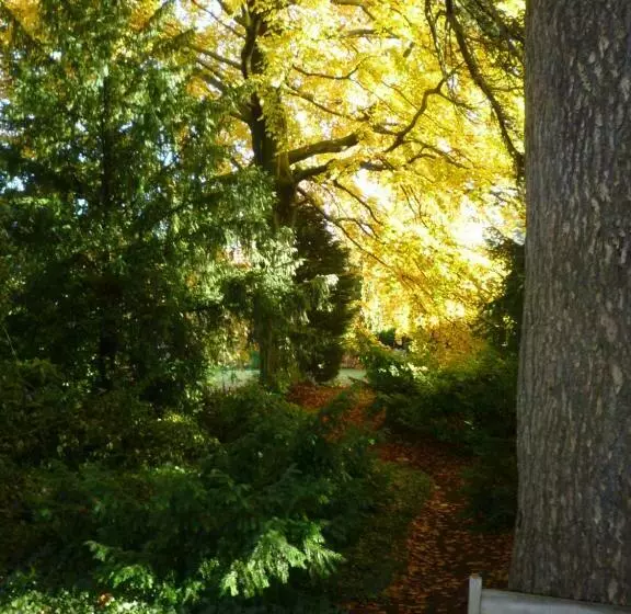 Aamiaismajoitus (B&B) Au Vieux Cèdre