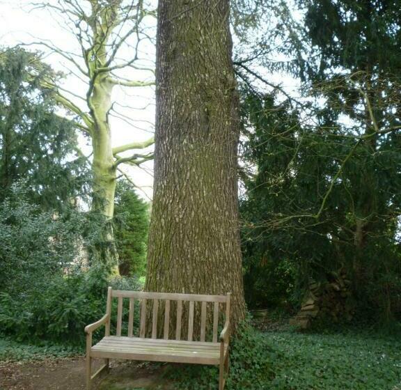 تختخواب و صبحانه Au Vieux Cèdre