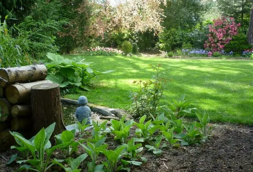 Aamiaismajoitus (B&B) Au Vieux Cèdre