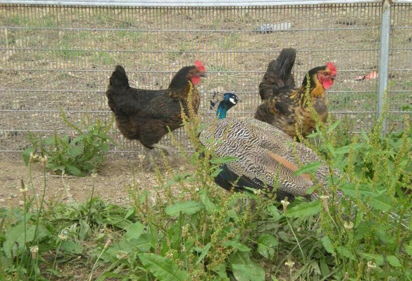 مبيت وإفطار Domaine De Kerbillec