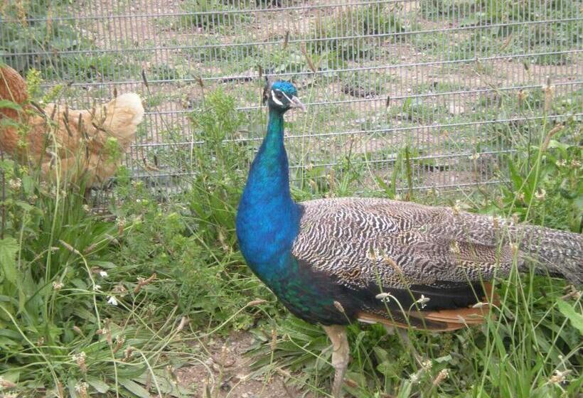 مبيت وإفطار Domaine De Kerbillec