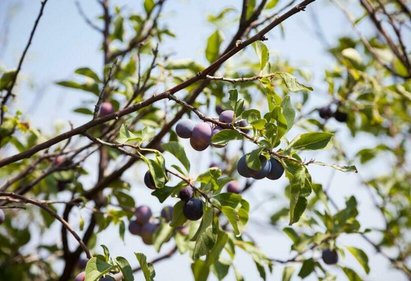 צימר Note Di Salina