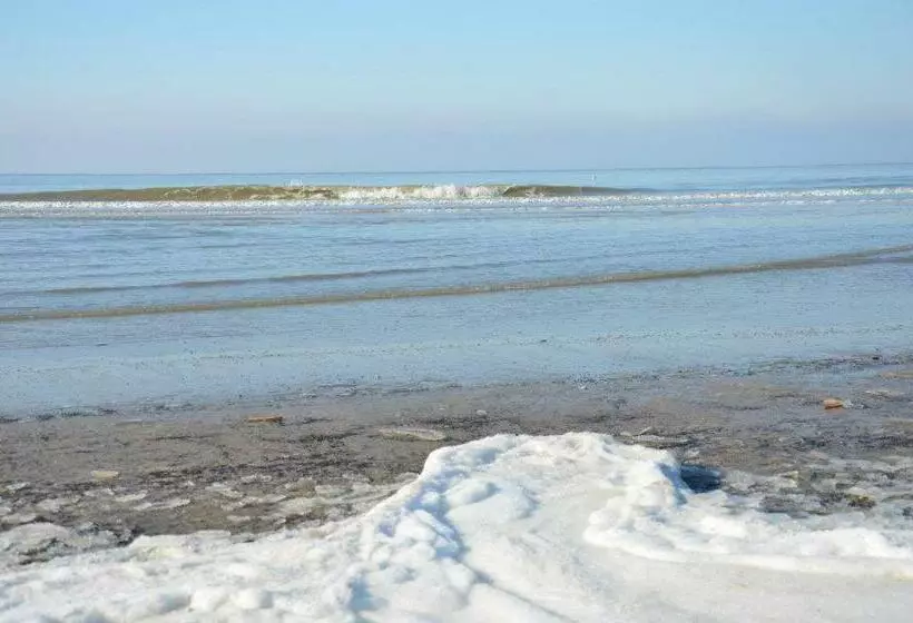 تختخواب و صبحانه Pension  T Hofje 350 Meter Van Het Strand