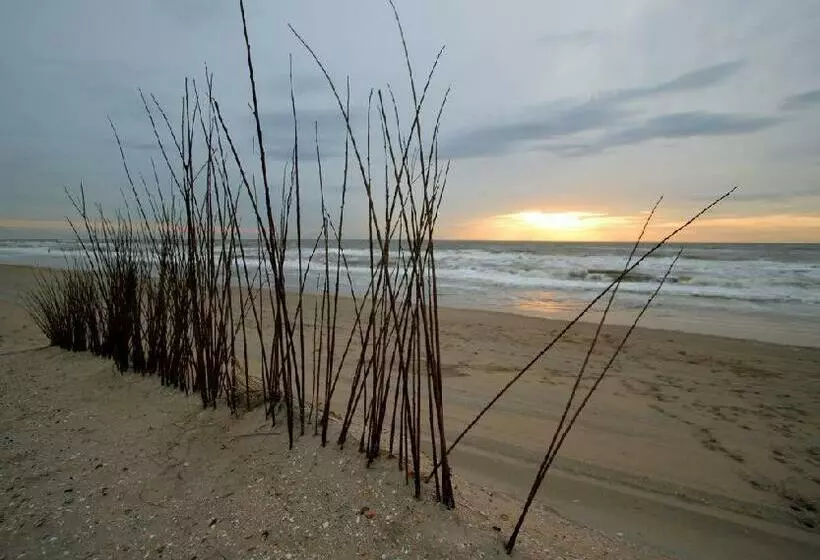 تختخواب و صبحانه Pension  T Hofje 350 Meter Van Het Strand