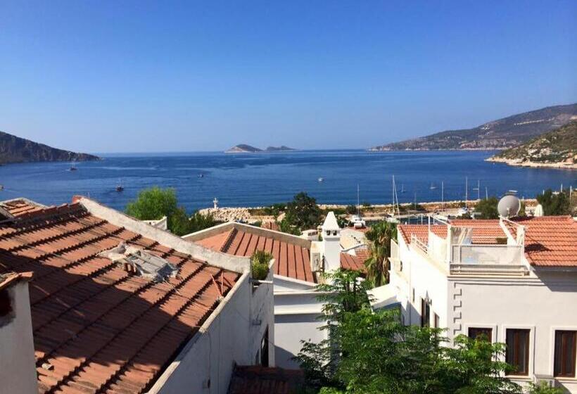 تختخواب و صبحانه The White House Kalkan