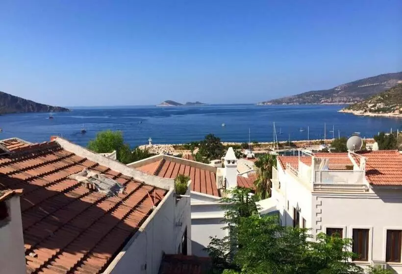 تختخواب و صبحانه The White House Kalkan
