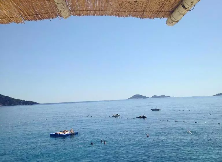 تختخواب و صبحانه The White House Kalkan