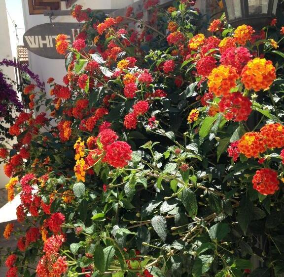 تختخواب و صبحانه The White House Kalkan