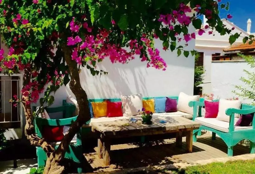 تختخواب و صبحانه The White House Kalkan