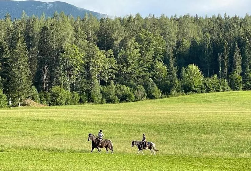 Fleischerei   Apartments, Cafe & Weinbar