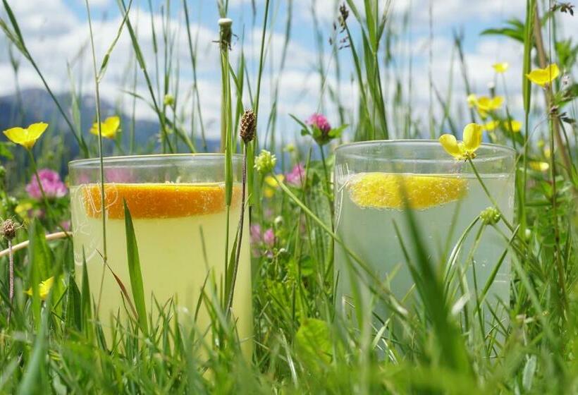 בית מלון כפרי Erlebnishof Tschabitscher