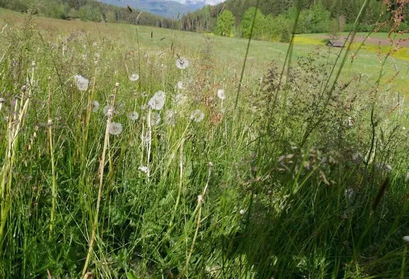 هتل Stockerhof