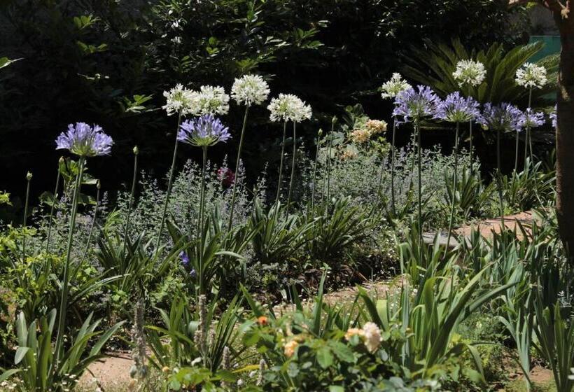 Iride Bed And Breakfast