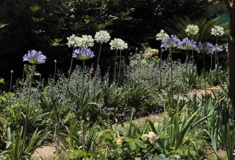 Iride Bed And Breakfast