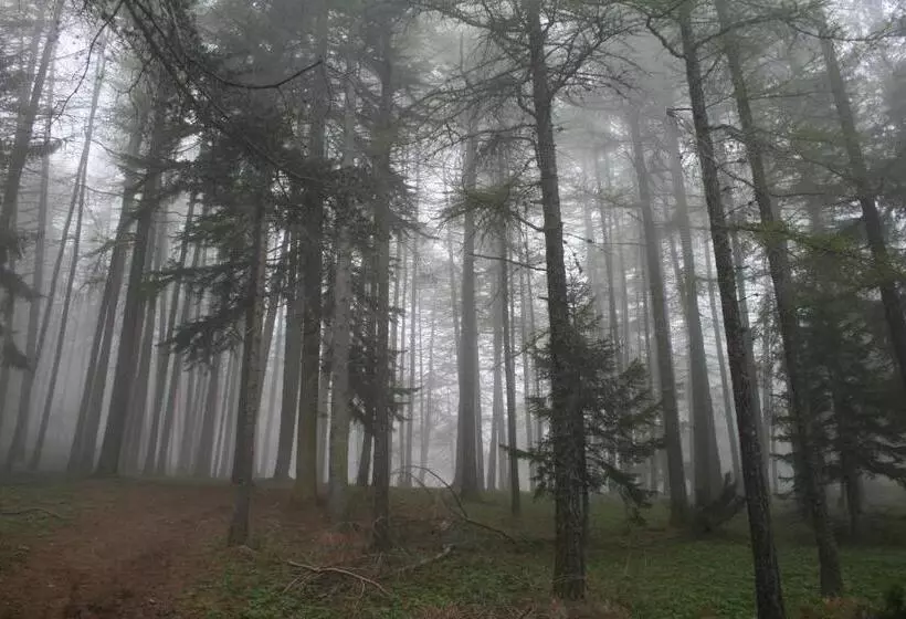 ペンション Bnb 1504