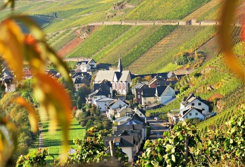 פנסיון Haus Marientaler Au