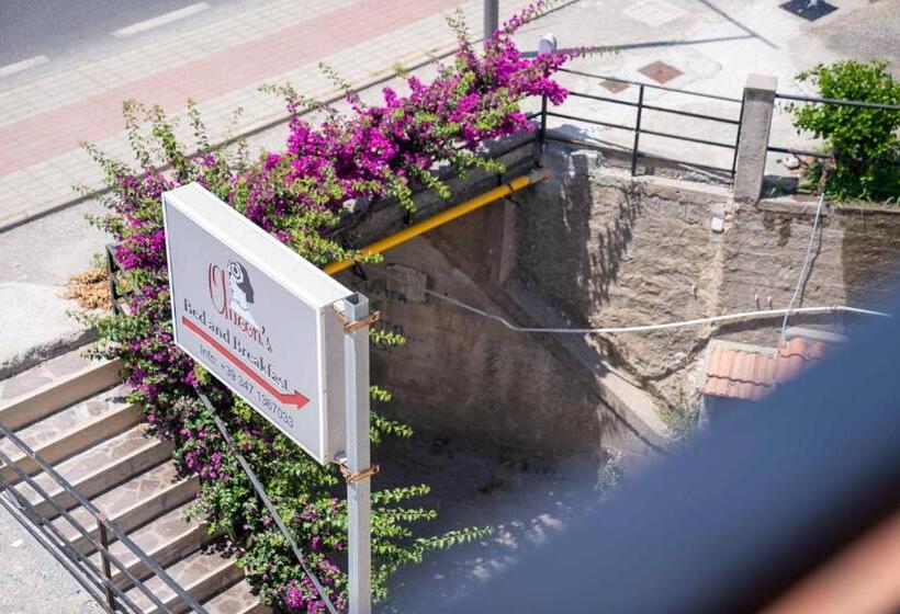 Queen S Bed & Breakfast