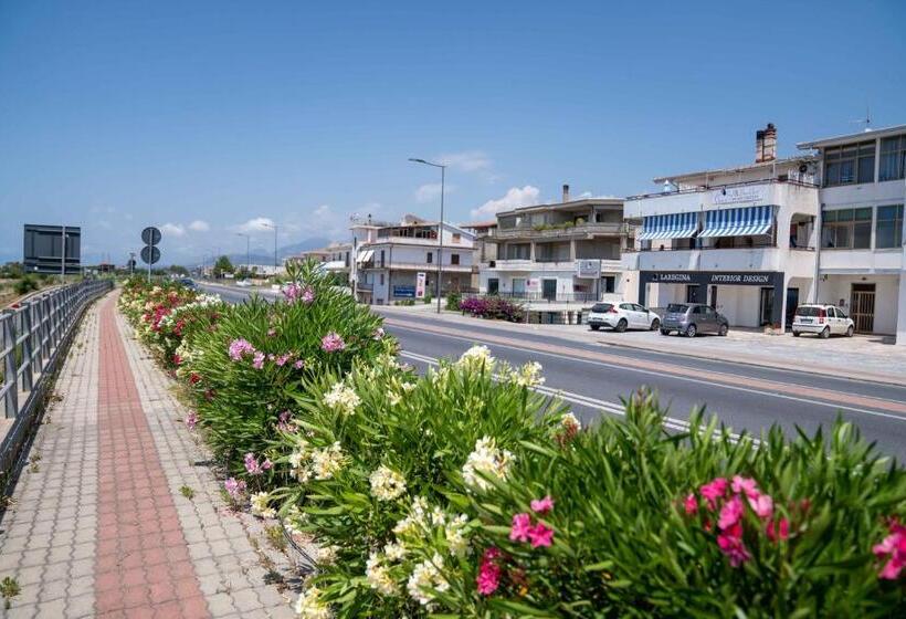 Queen S Bed & Breakfast