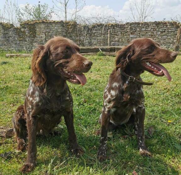 B&b A La Ferme D Ourches