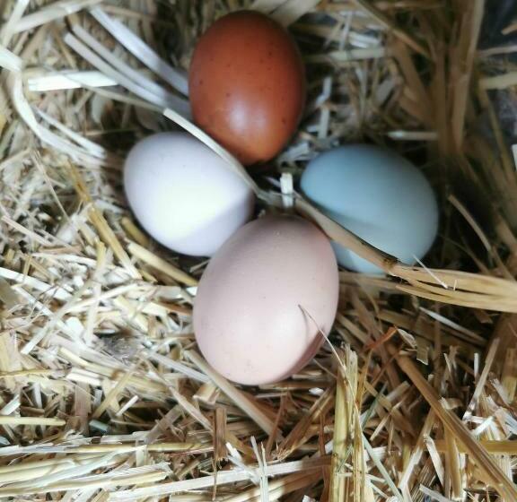 B&b A La Ferme D Ourches