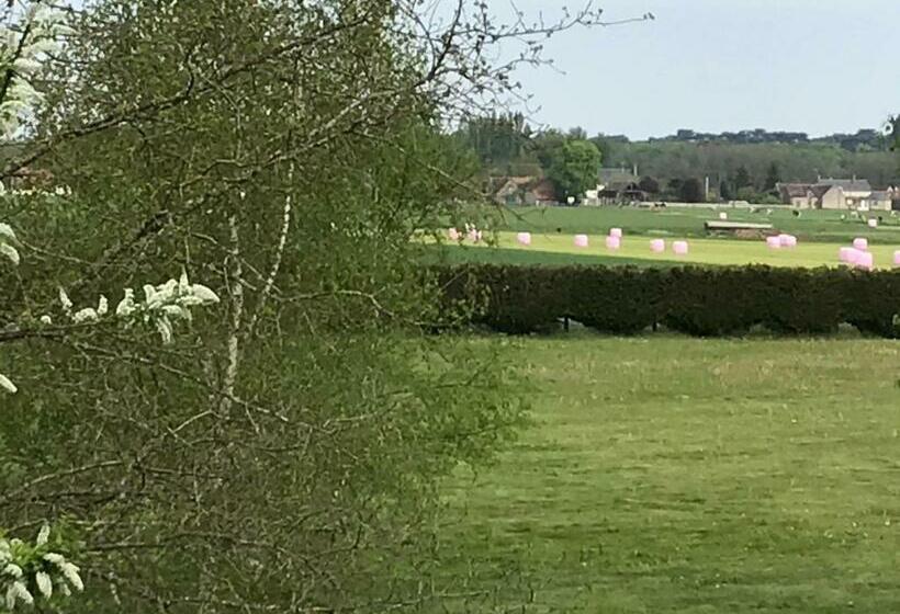 مبيت وإفطار La Levraudière