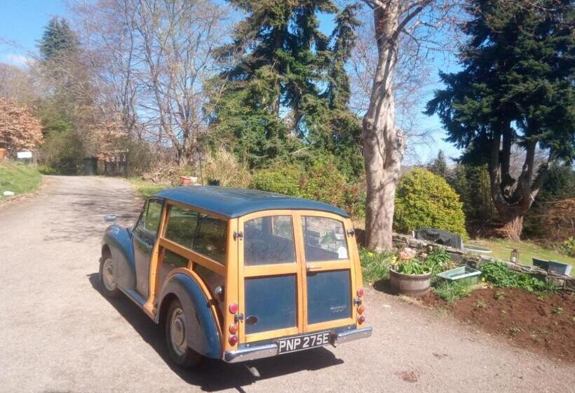 Bed and Breakfast Strathview