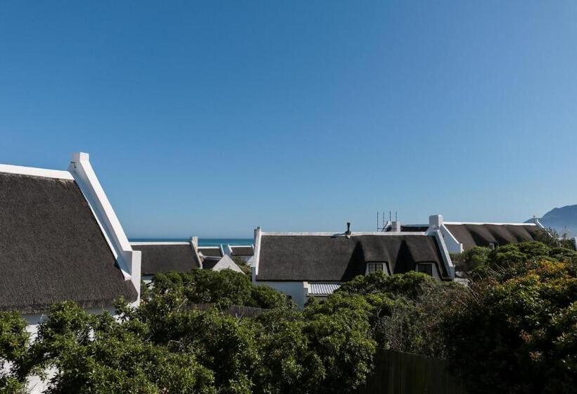 مبيت وإفطار The House Of Braganza