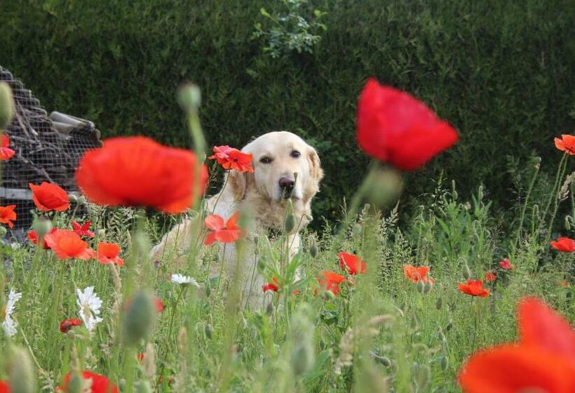 酒店 La Ferme Du Pré Charmant