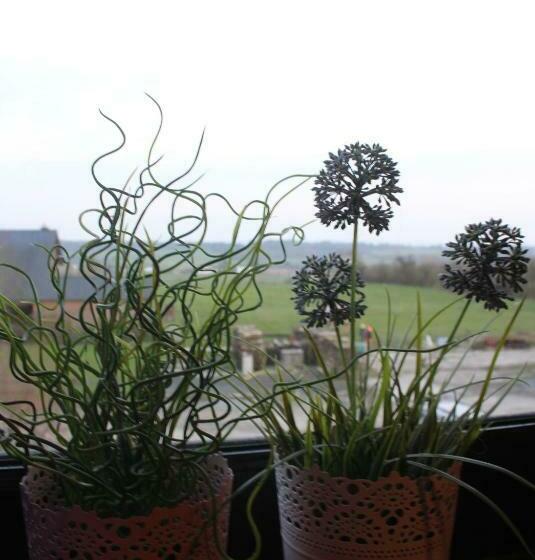 酒店 La Ferme Du Pré Charmant