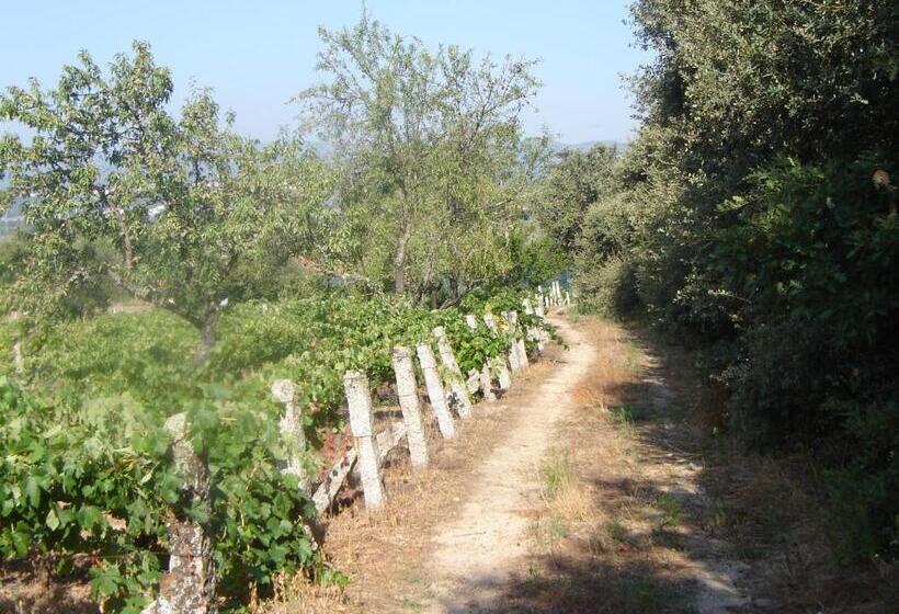 Отель Quinta Santa Isabel