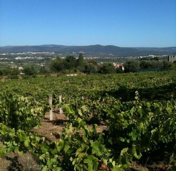 Отель Quinta Santa Isabel