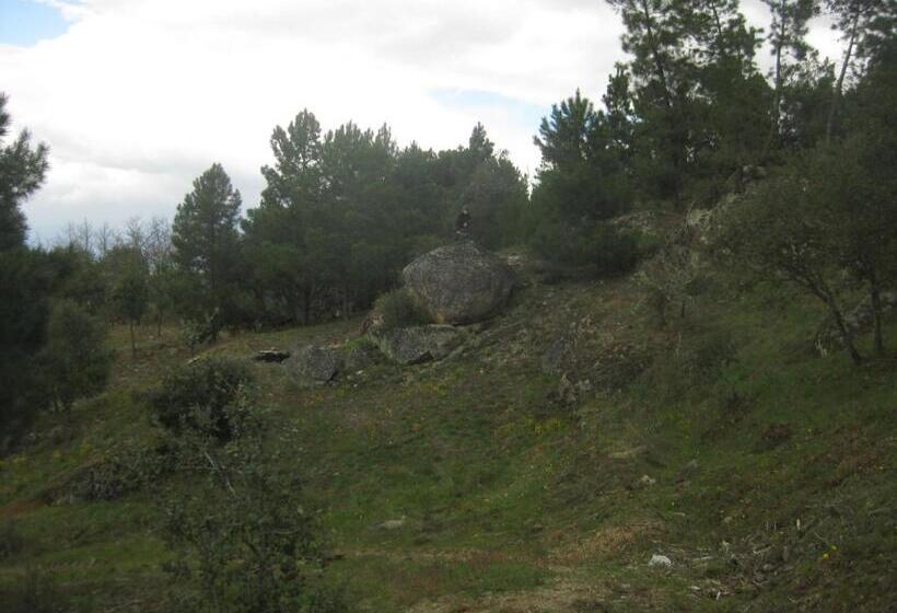 Отель Quinta Santa Isabel