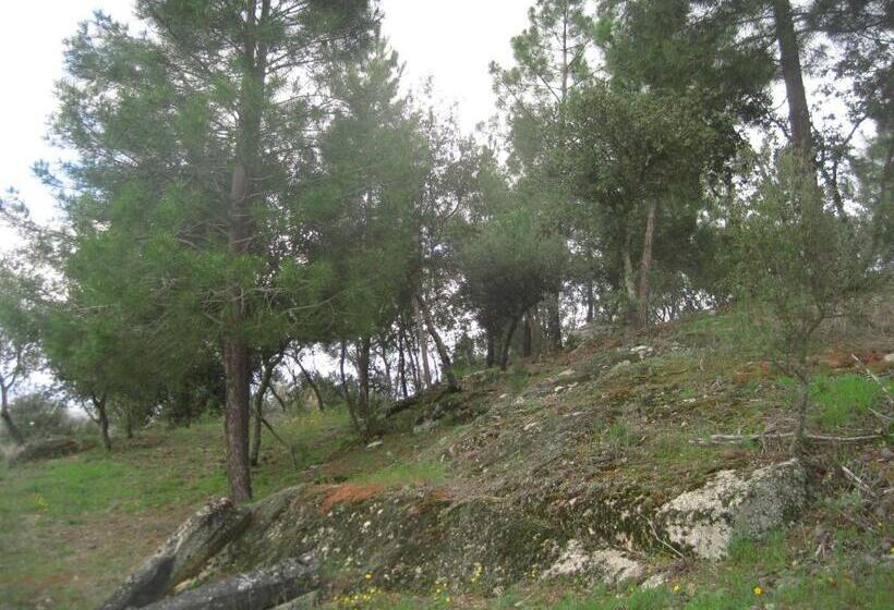 Отель Quinta Santa Isabel