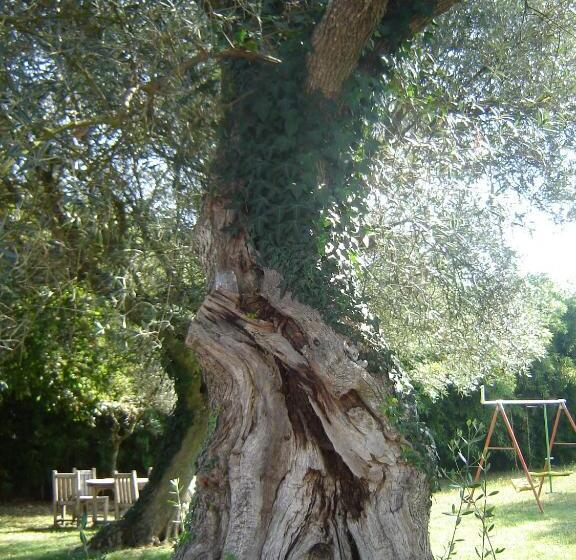 Отель Quinta Santa Isabel