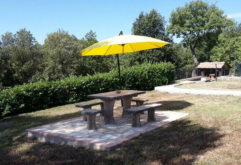 Пансион Alba Chiara