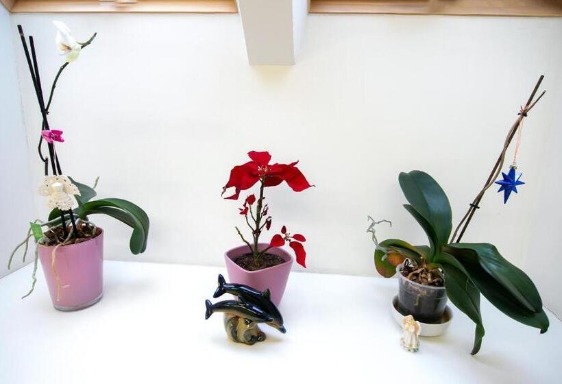 پانسیون Guesthouse Laurits