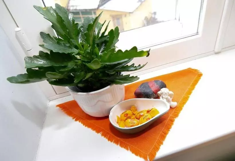 پانسیون Guesthouse Laurits