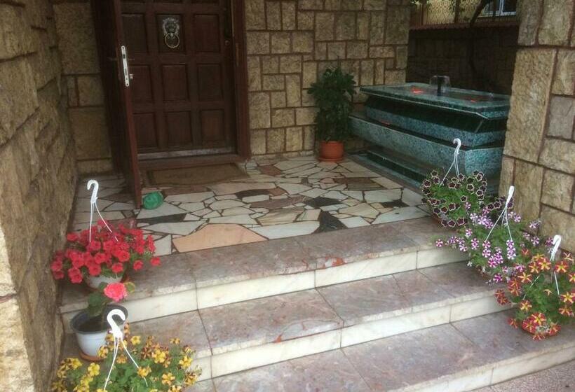 ペンション Villa 3 Papuci