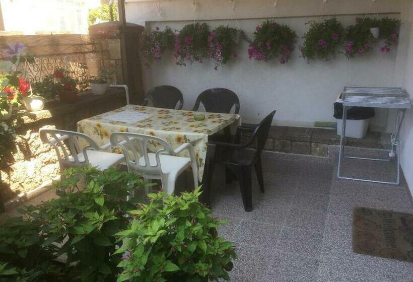 ペンション Villa 3 Papuci