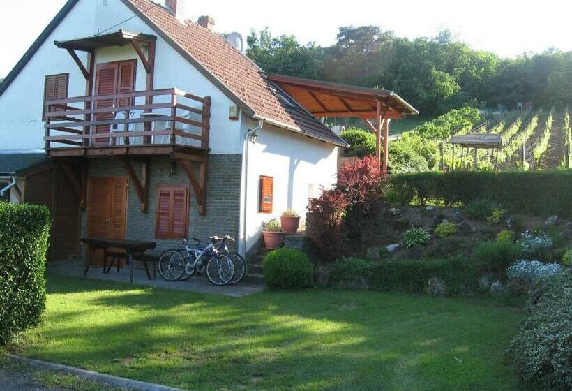 Pensionat Zoltán Borháza