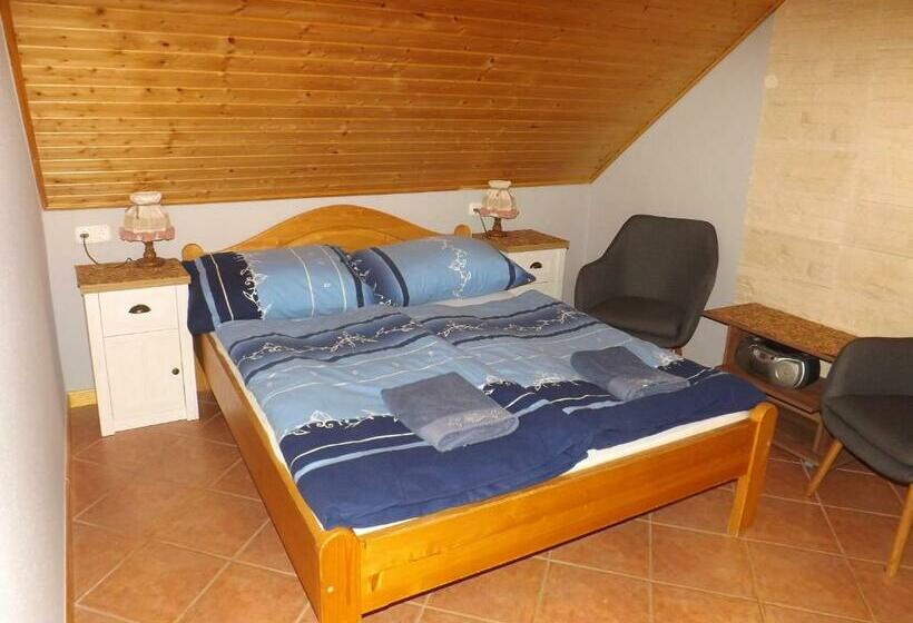 Pensionat Zoltán Borháza